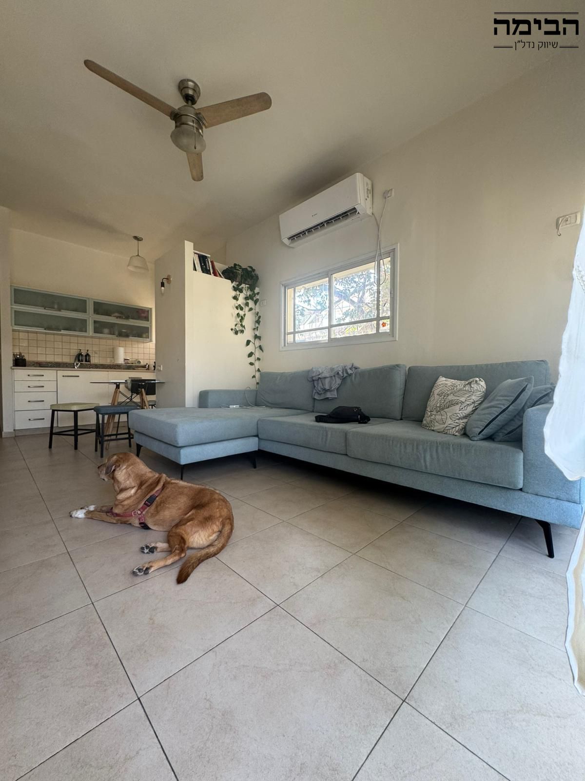 מהסמארטפון שלי